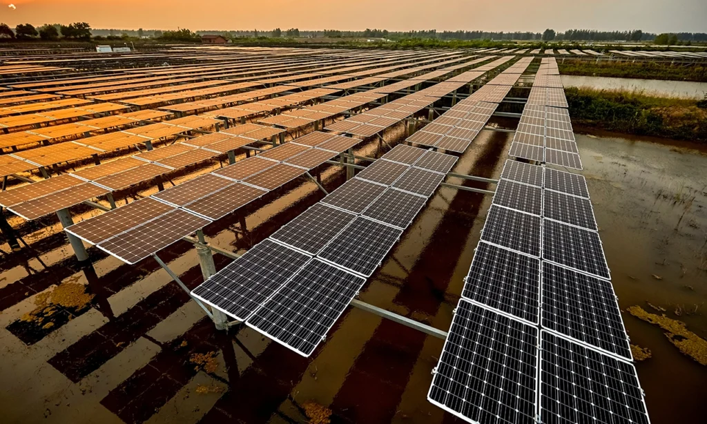 Energia solar em plantação - benefícios da energia solar