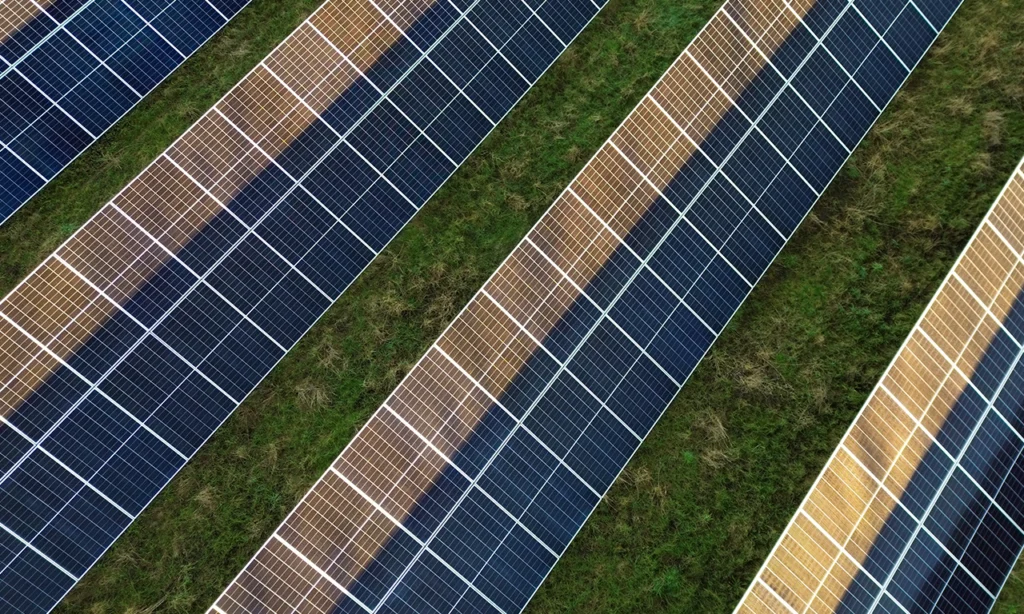 Placas de energia solar enfileiradas gerando energia que será compensada no sistema de compensação de energia elétrica